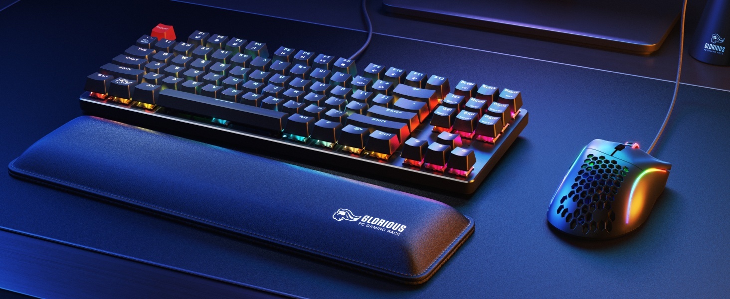 Glorious Gaming Model D Wired Gaming Mouse - 68g Superlight Honeycomb Design, RGB, Ergonomic, Pixart