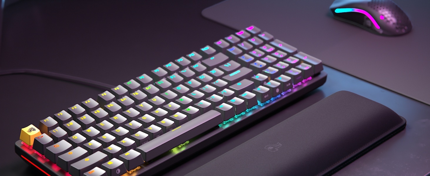 Glorious Gaming Model D Wired Gaming Mouse - 68g Superlight Honeycomb Design, RGB, Ergonomic, Pixart