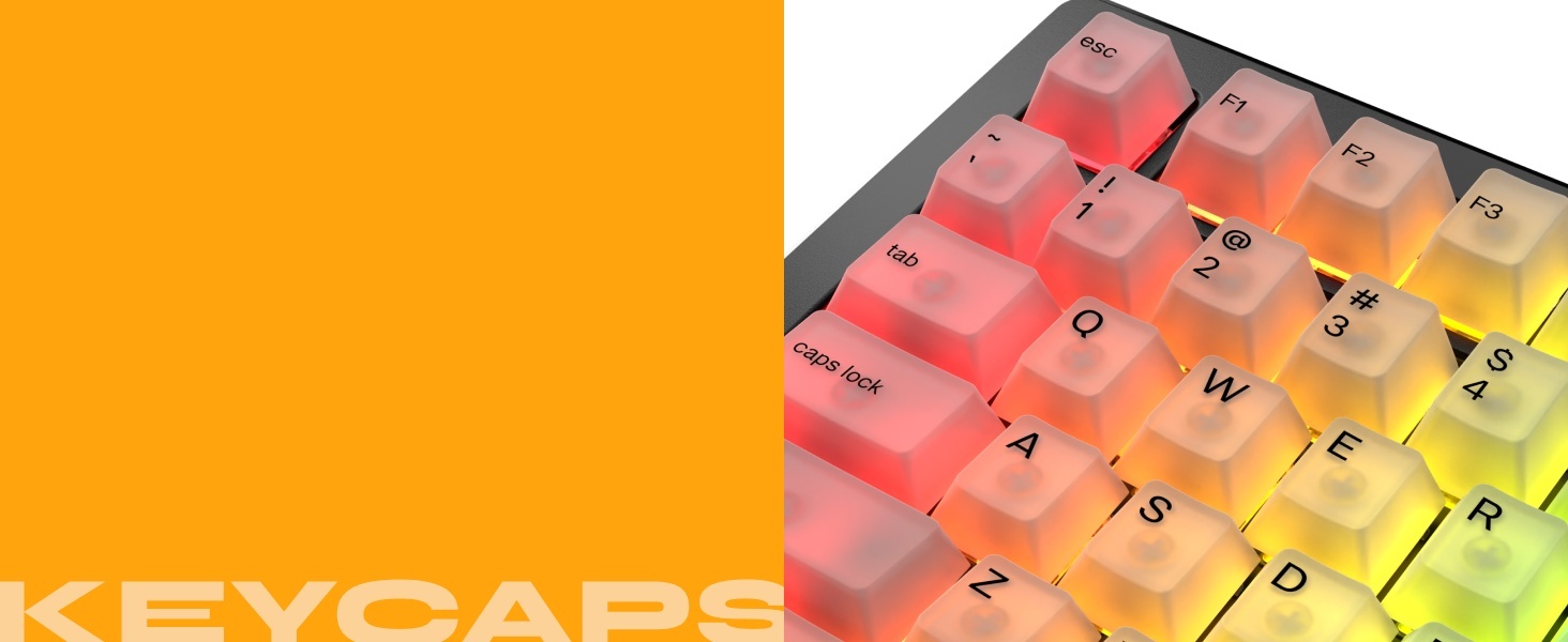 GPBT Polychroma