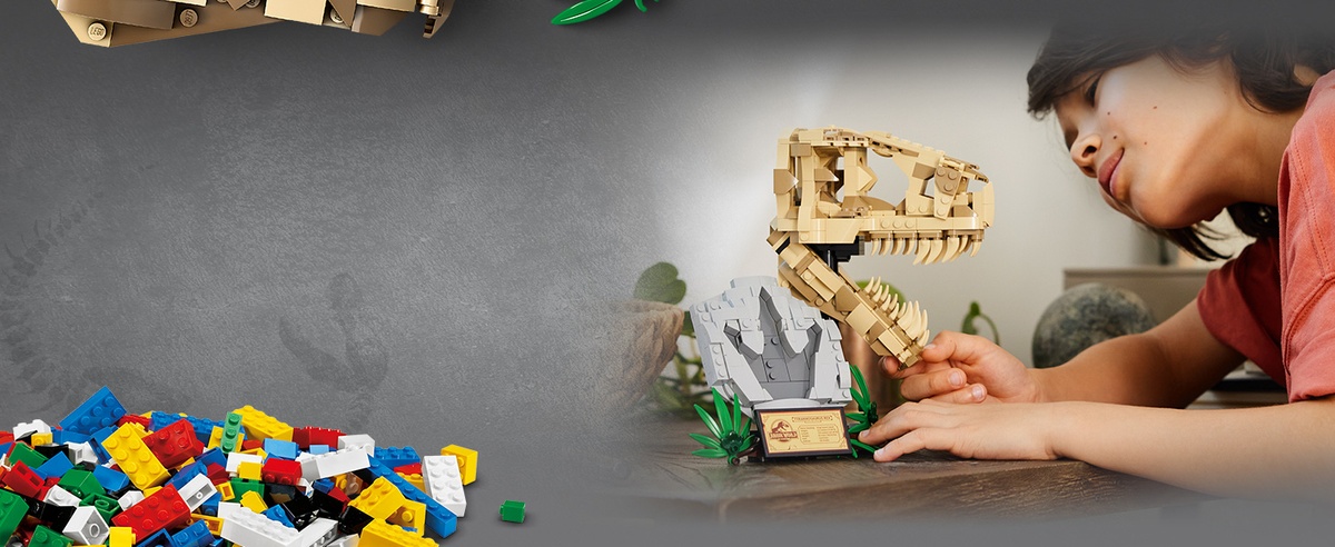 カプレヘンション LEGO 76964 Dinosaur Fossils: T.rex Skull | 2TTOYS ✓ Official shop